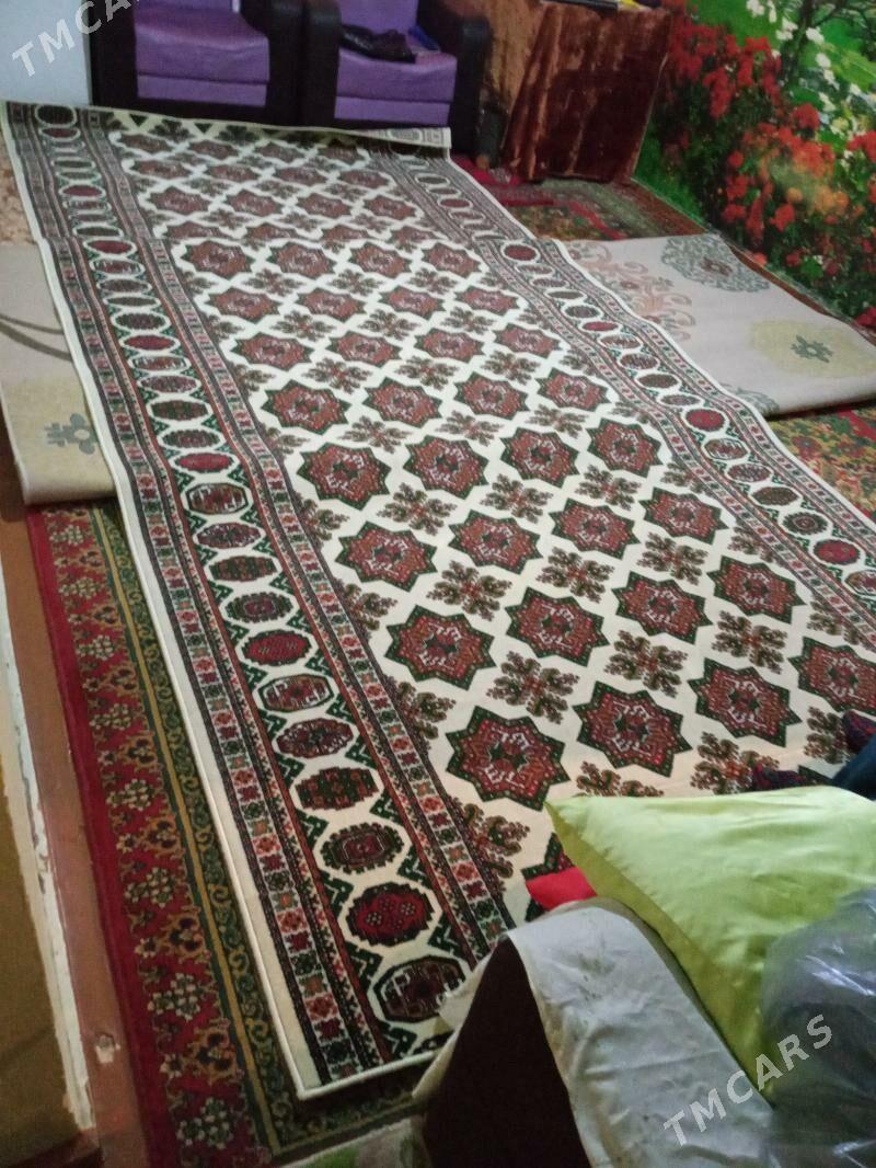 haly - 10 mkr - img 3