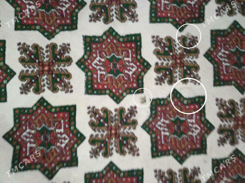 haly - 10 mkr - img 4