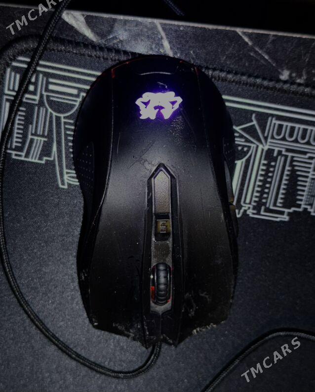Myshka Мышка Asus Cerberus - Ашхабад - img 5