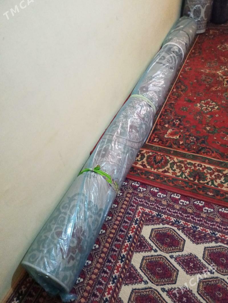 haly - 10 mkr - img 5