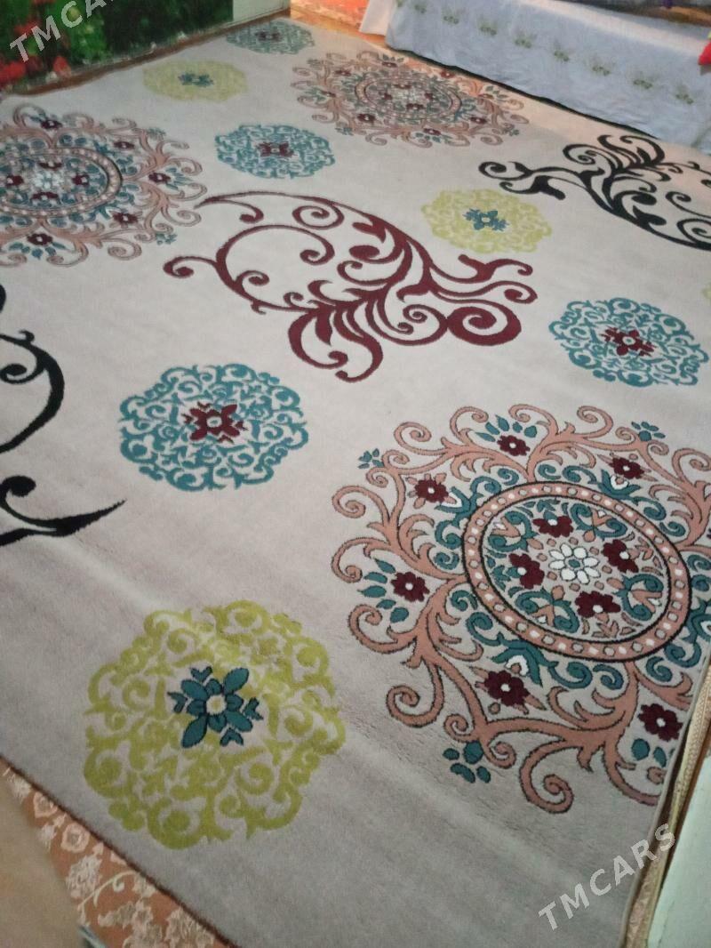 haly - 10 mkr - img 1