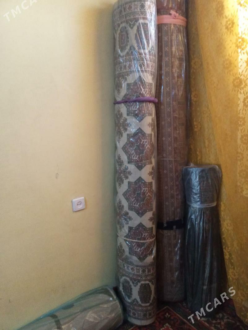 haly - 10 mkr - img 6