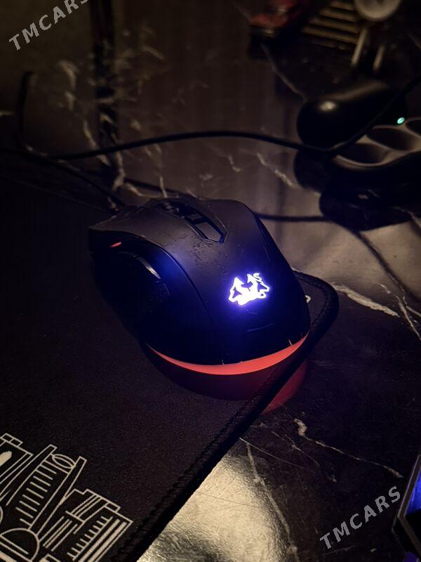 Myshka Мышка Asus Cerberus - Ашхабад - img 3