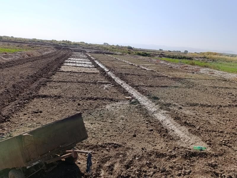 Dayhan gerek - Kaka - img 3