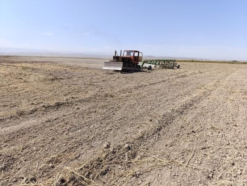 Dayhan gerek - Kaka - img 2