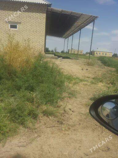 SATLYK JAY1 - Garagum etraby - img 2