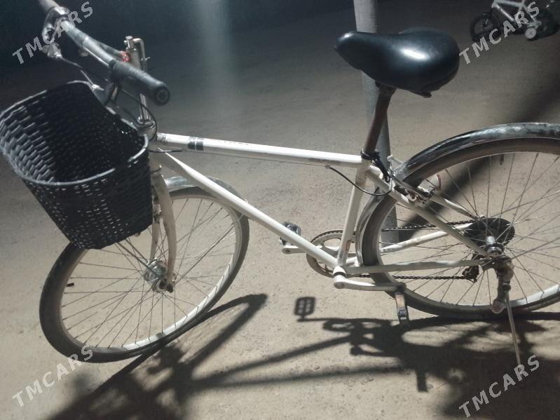 welsepit tigirler - Mary - img 1