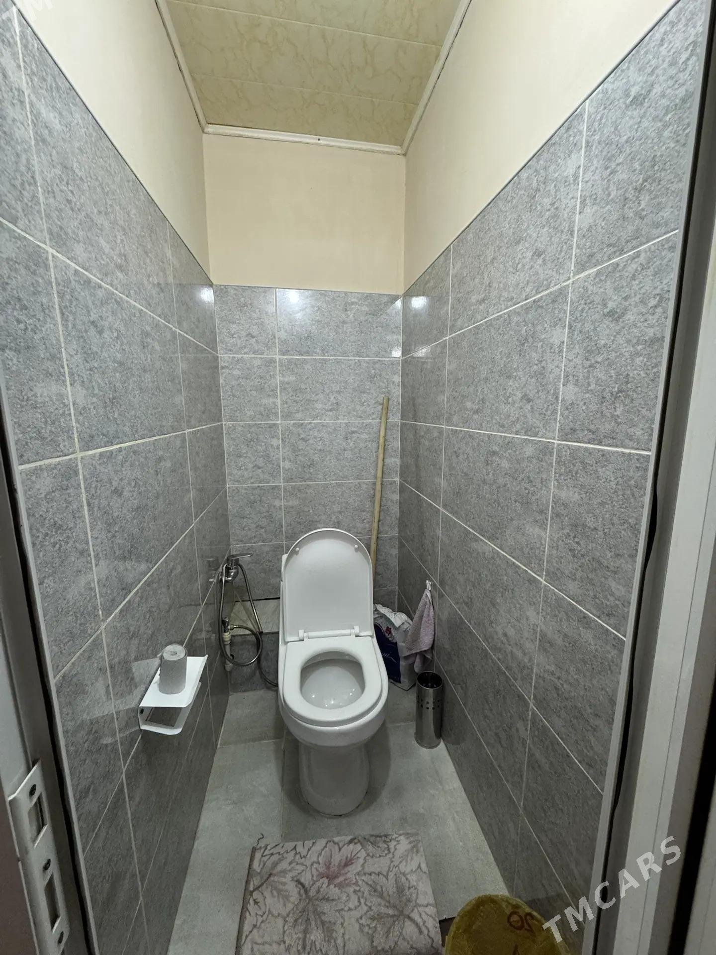 САТЛЫК ЖАЙ ГОВДАН - Гаудан "А" - img 9