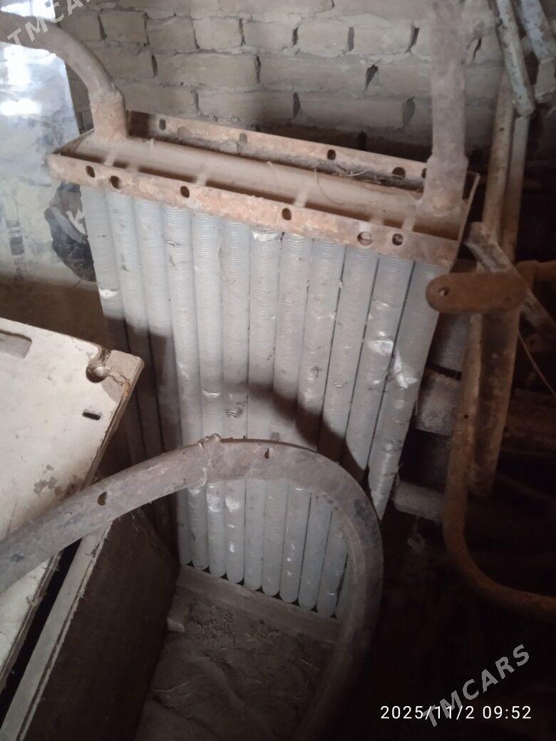 zadiwiSyi turos radiyatir - Sakarçäge - img 3