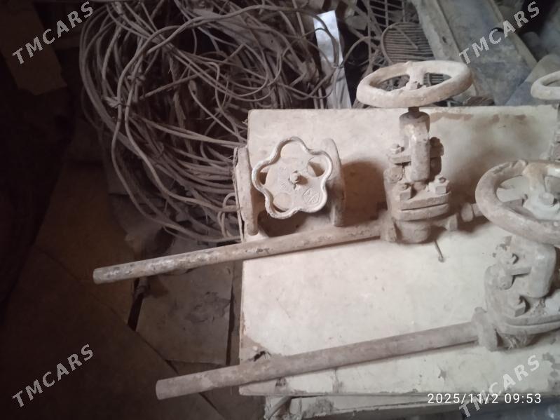 zadiwiSyi turos radiyatir - Sakarçäge - img 1