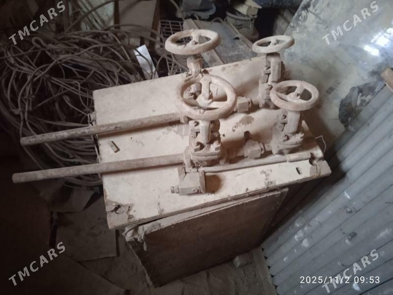 zadiwiSyi turos radiyatir - Sakarçäge - img 2