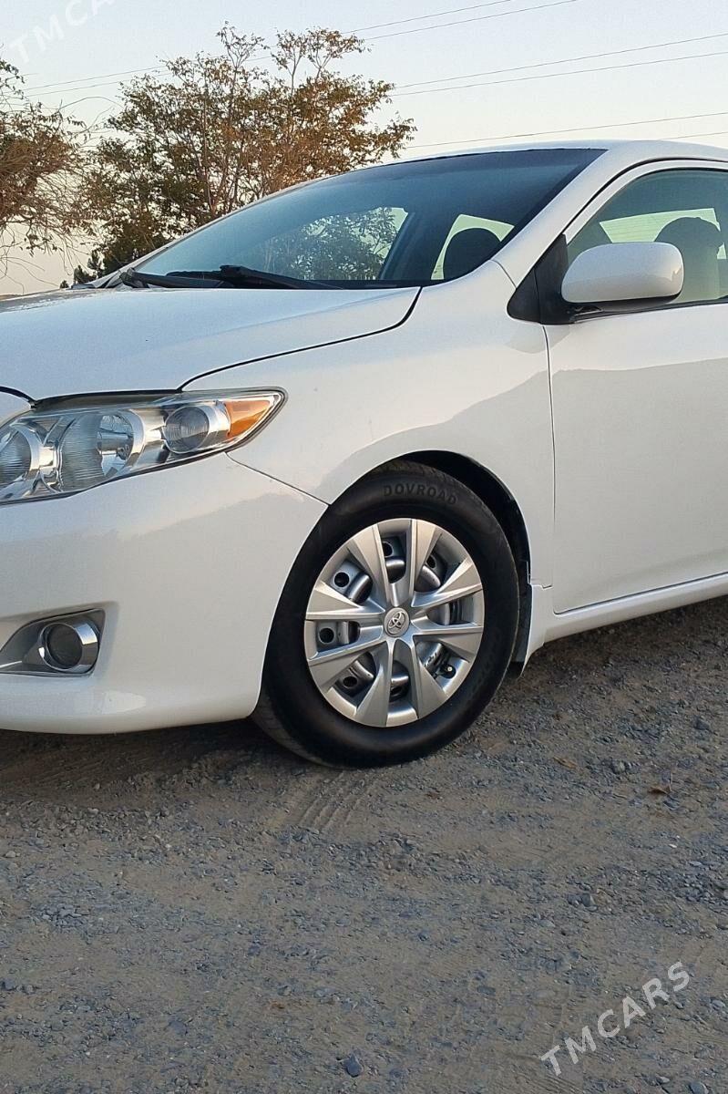 iş gerek - Türkmenbaşy - img 2