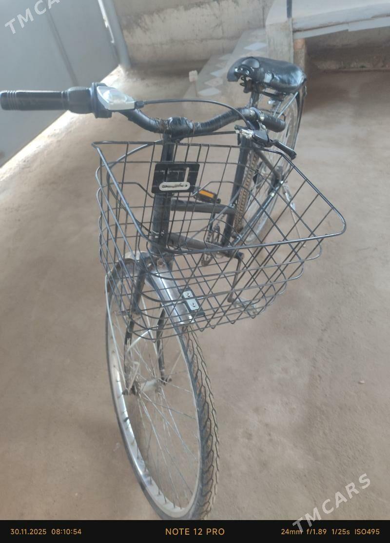 26 tigir - Tejen - img 2