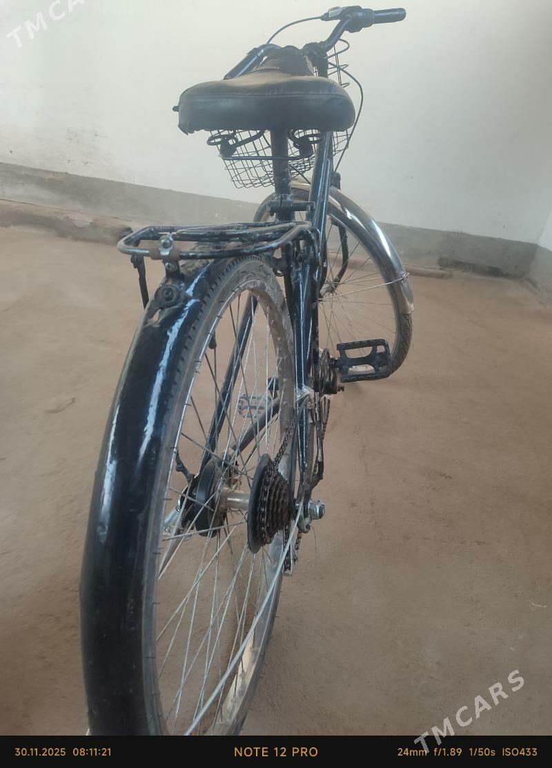 26 tigir - Tejen - img 4