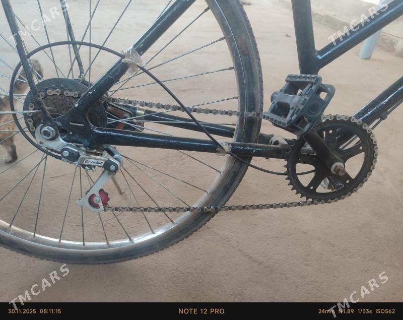 26 tigir - Tejen - img 3