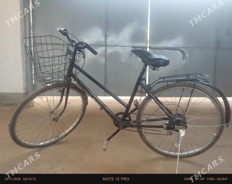 26 tigir - Tejen - img 1