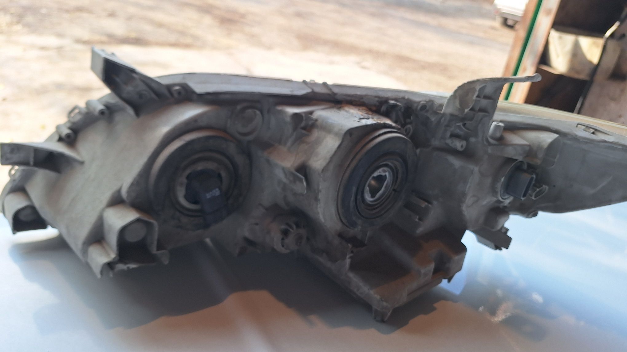 окуз келле фара 600 TMT - Aşgabat - img 3