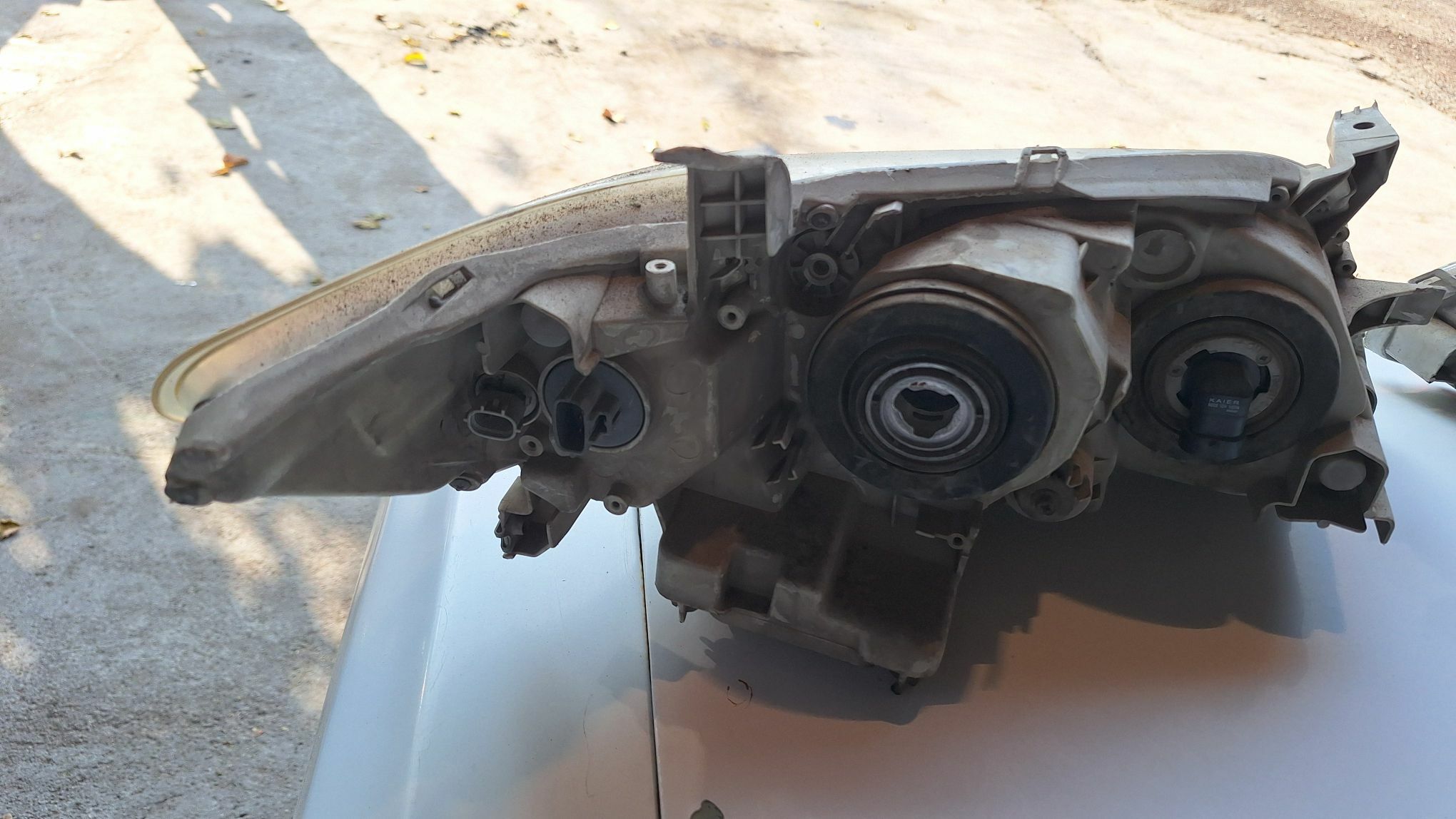 окуз келле фара 600 TMT - Aşgabat - img 2