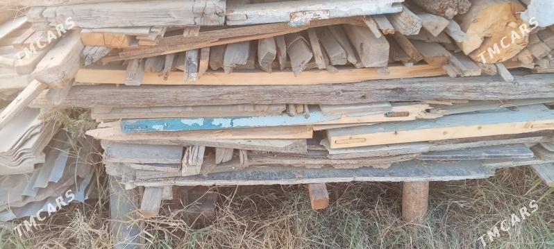 odunuk ağaç - Murgap - img 1