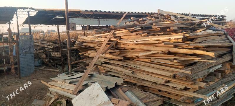 odunuk ağaç - Murgap - img 3