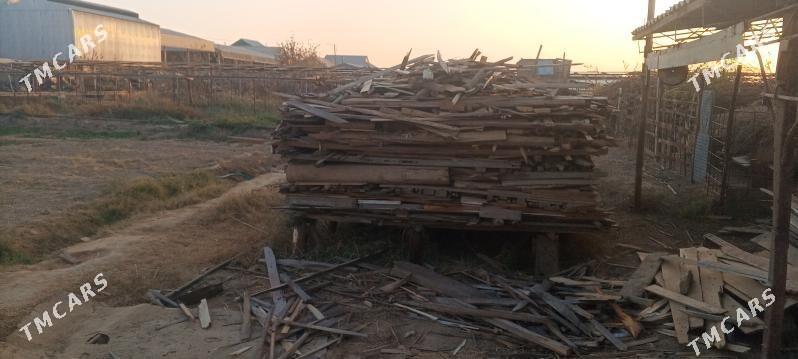 odunuk ağaç - Murgap - img 4