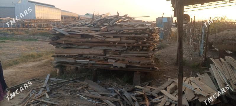 odunuk ağaç - Murgap - img 5