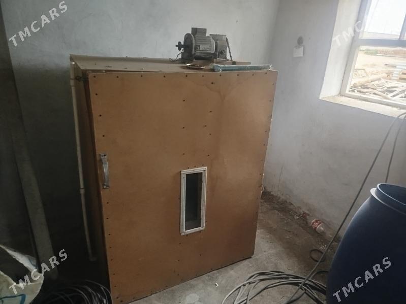 инкубатор - Байрамали - img 2