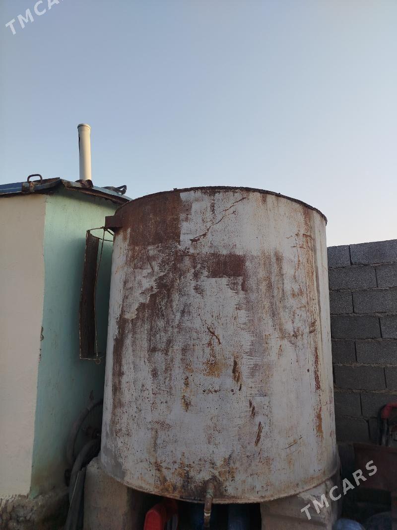 Demir boçga - Ýaşlyk - img 2