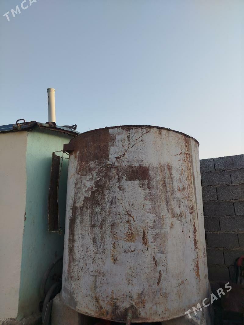 Demir boçga - Ýaşlyk - img 3