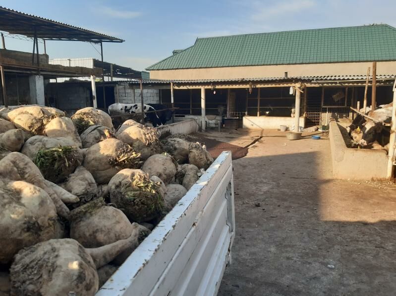 mal sugundur - Ак-Бугдайский этрап - img 3