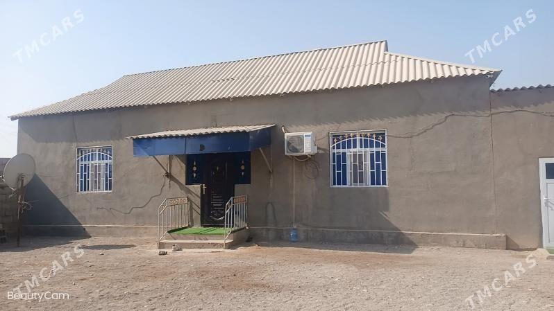 Tejen kamsomol jaÿ - Tejen - img 5