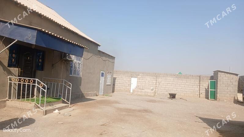 Tejen kamsomol jaÿ - Tejen - img 6