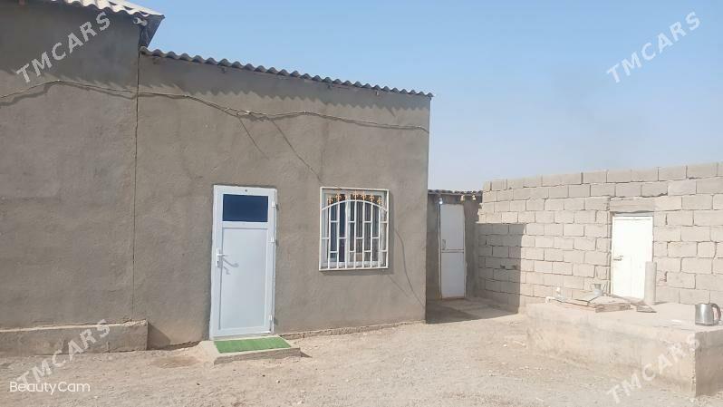 Tejen kamsomol jaÿ - Tejen - img 7