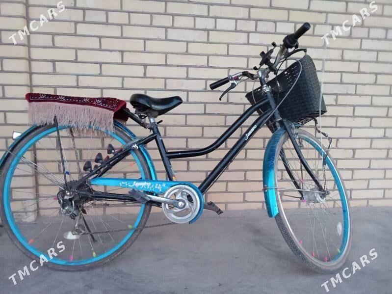 tigir 26 - Sakarçäge - img 2