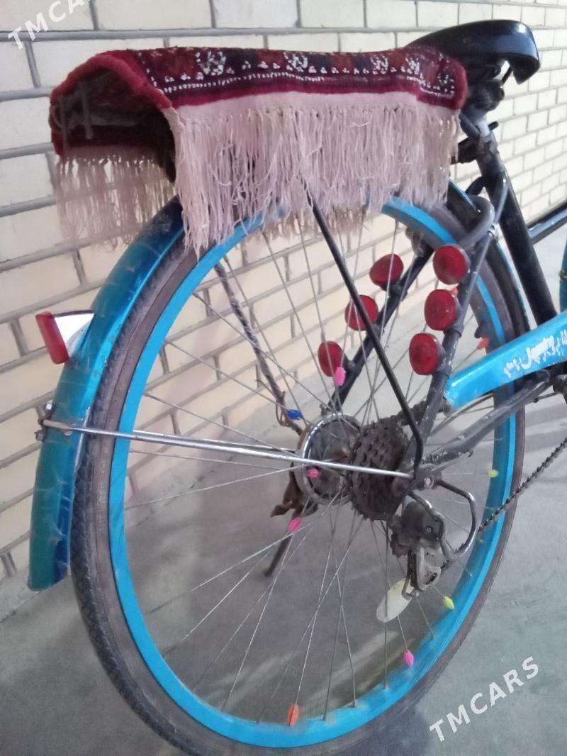 tigir 26 - Sakarçäge - img 4