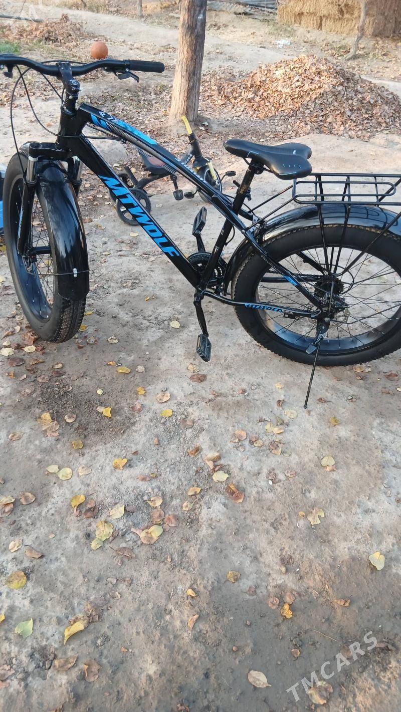 tigir - Гарадамак - img 2