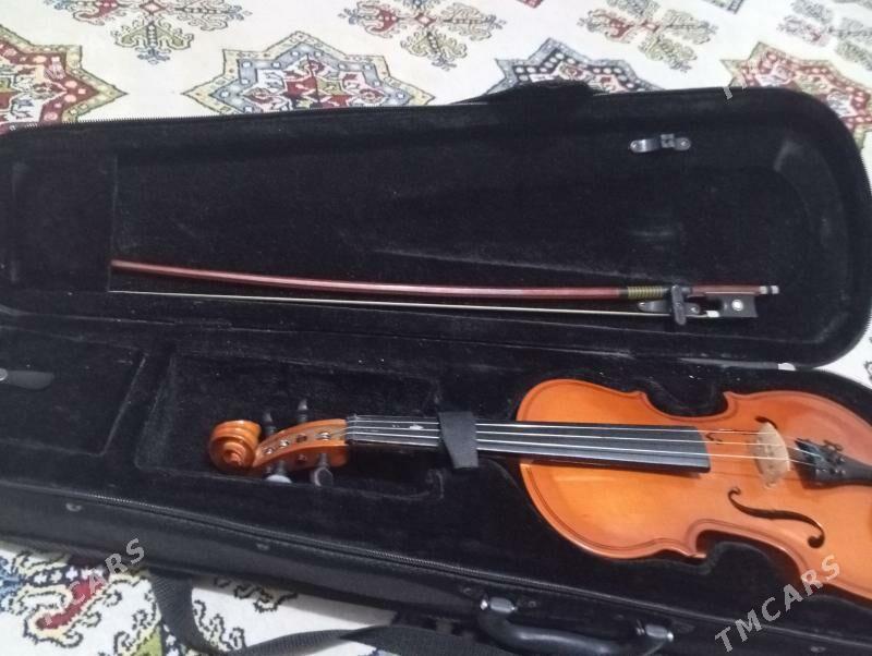 skripka/скрипка - Ким район - img 7