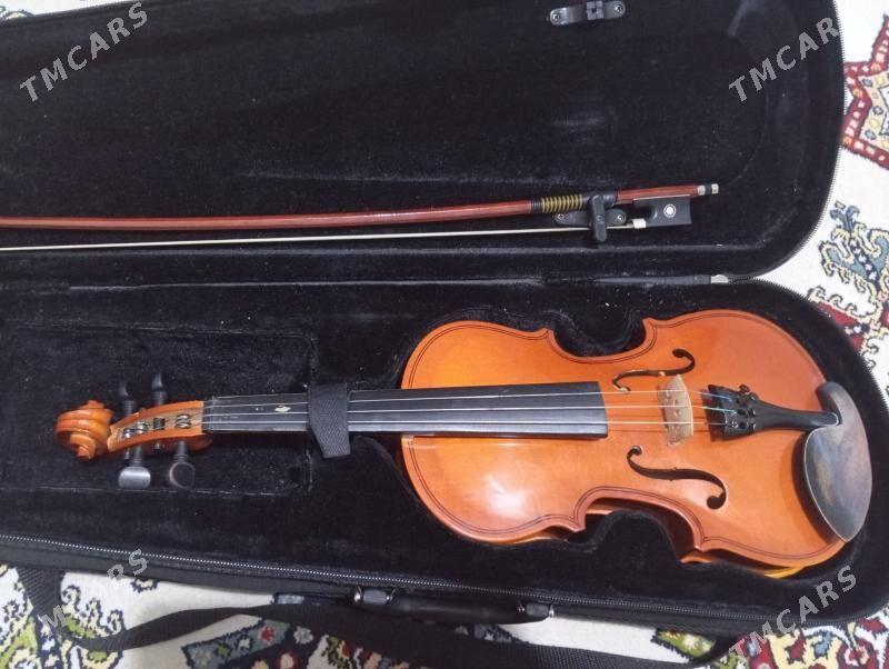 skripka/скрипка - Ким район - img 6