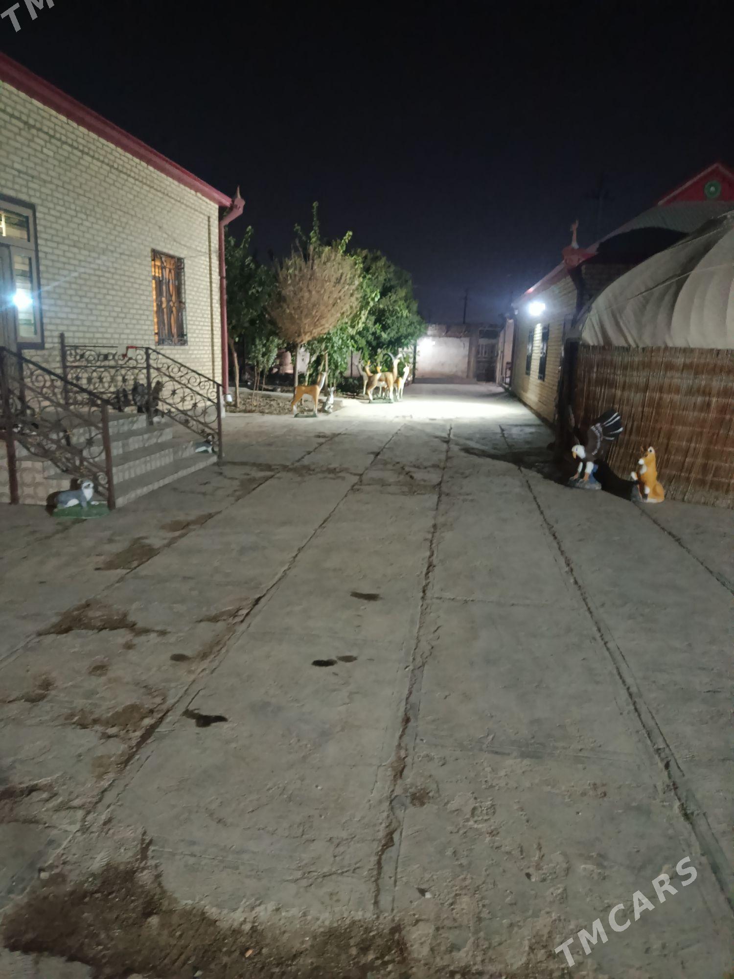 ARENDA DACA - Mary - img 1