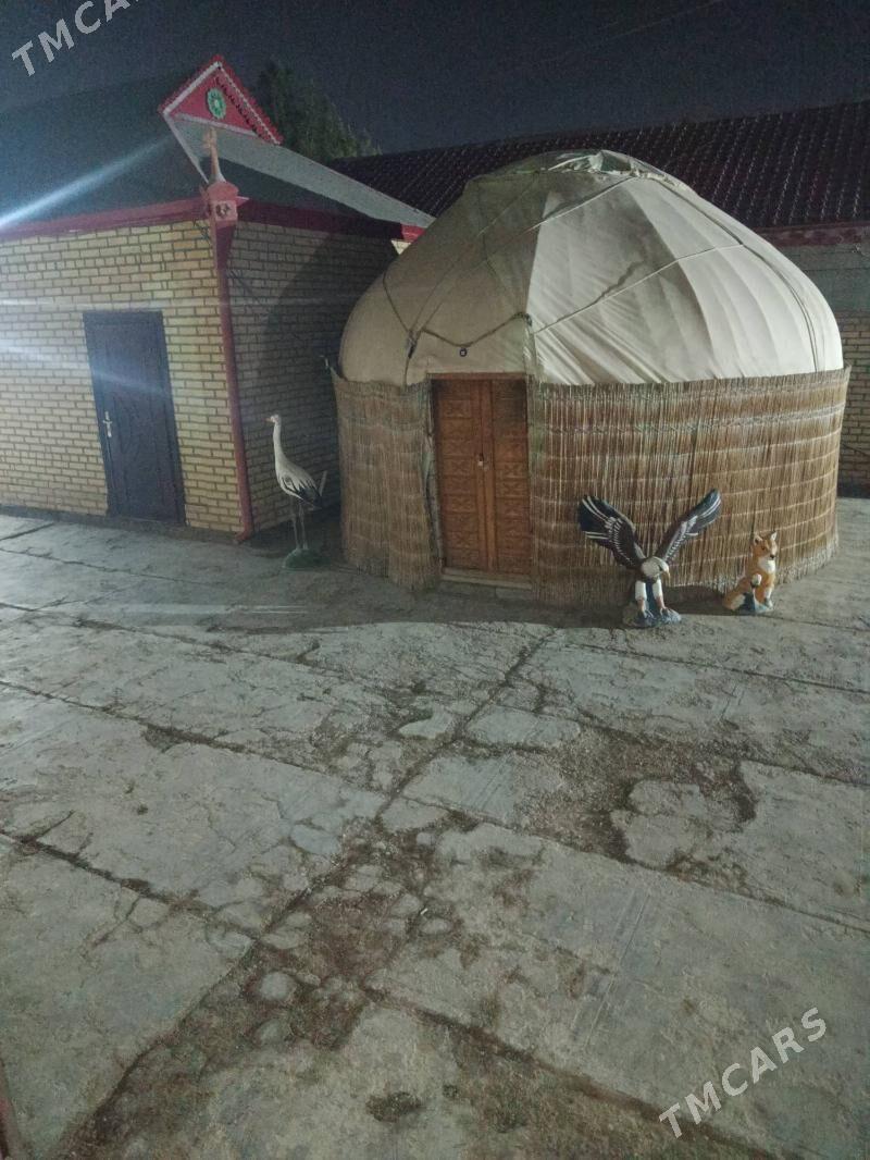 ARENDA DACA - Mary - img 2