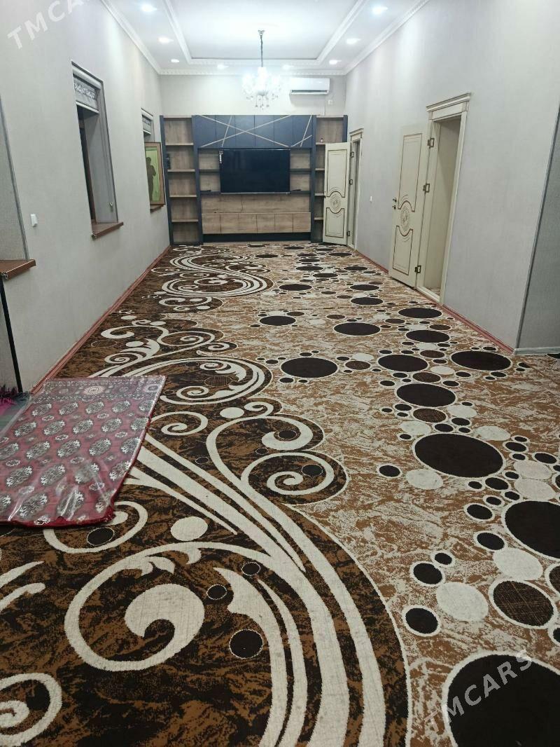 ARENDA DACA - Mary - img 6