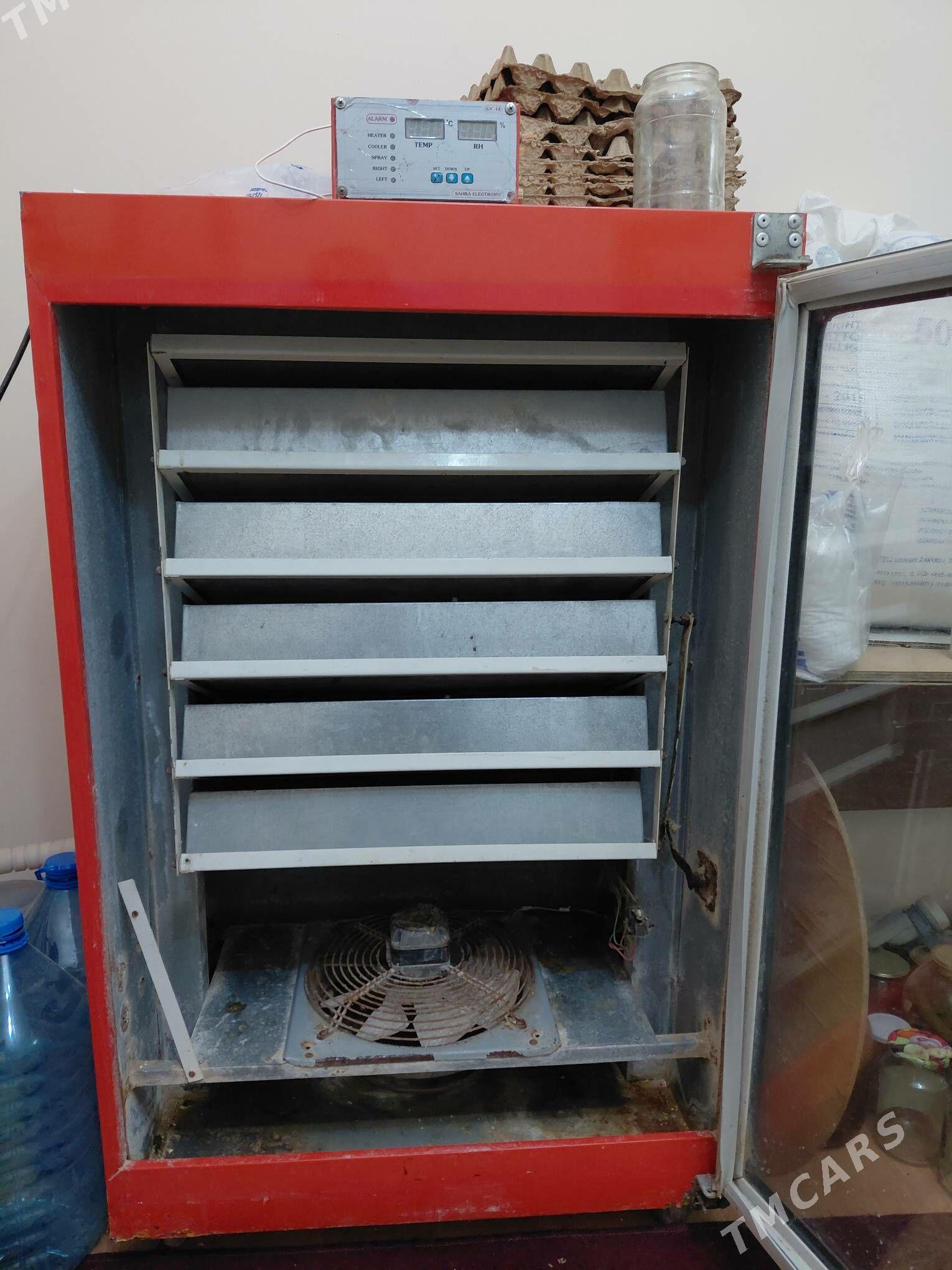 Enkowator Inkubator 500 - Gökdepe - img 3