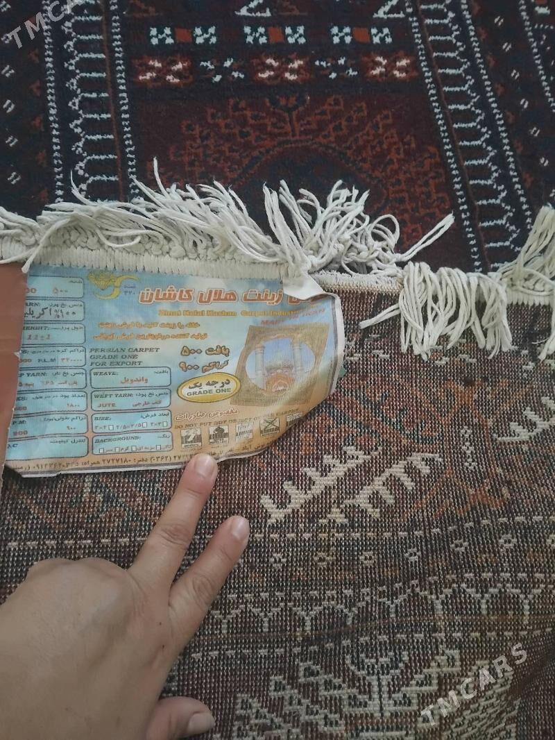 haly. - Balkanabat - img 1