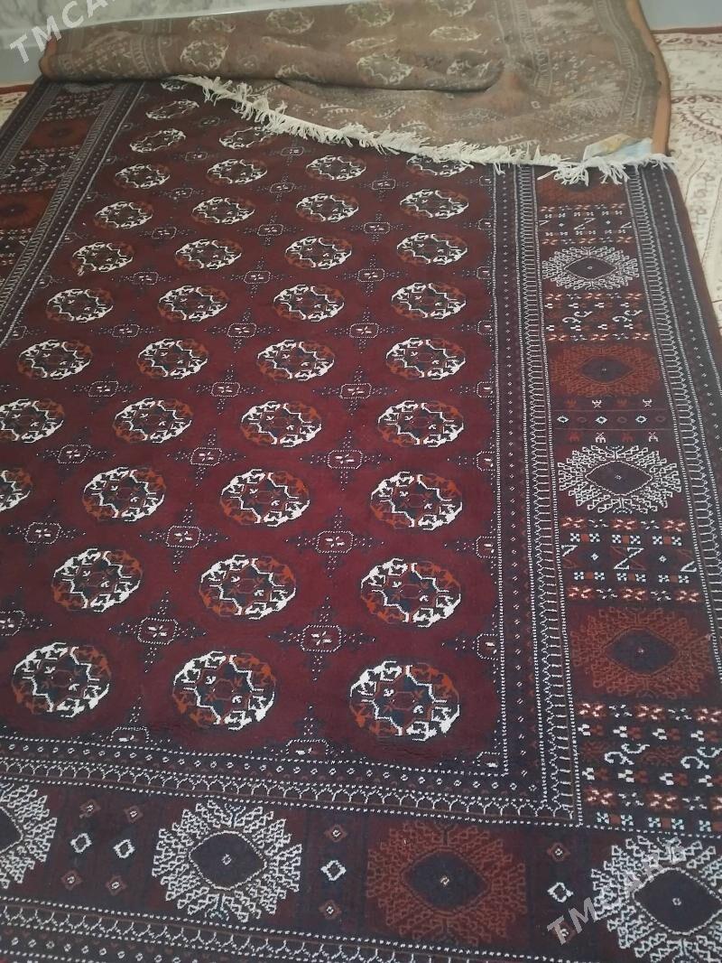 haly. - Balkanabat - img 2