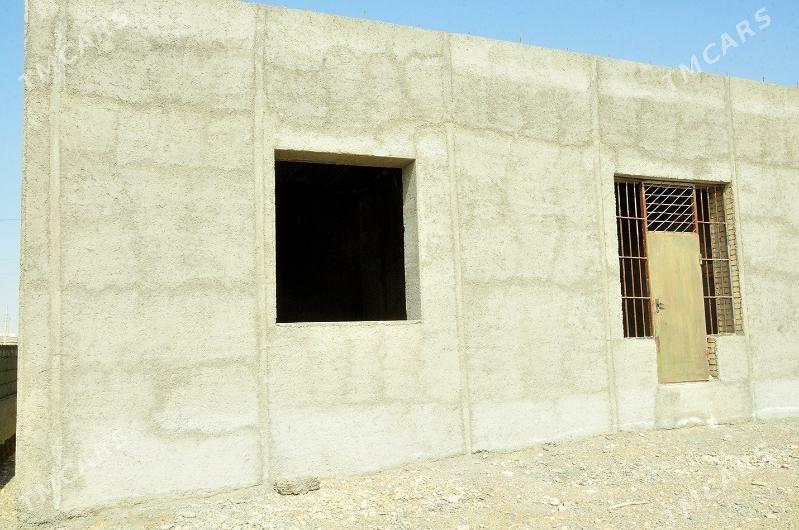 Jay - Gyzylarbat - img 5