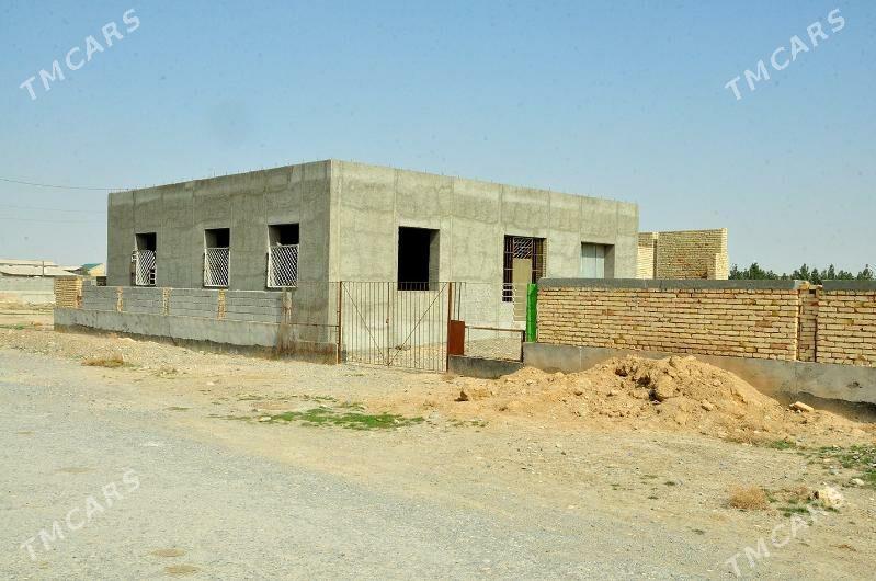 Jay - Gyzylarbat - img 9