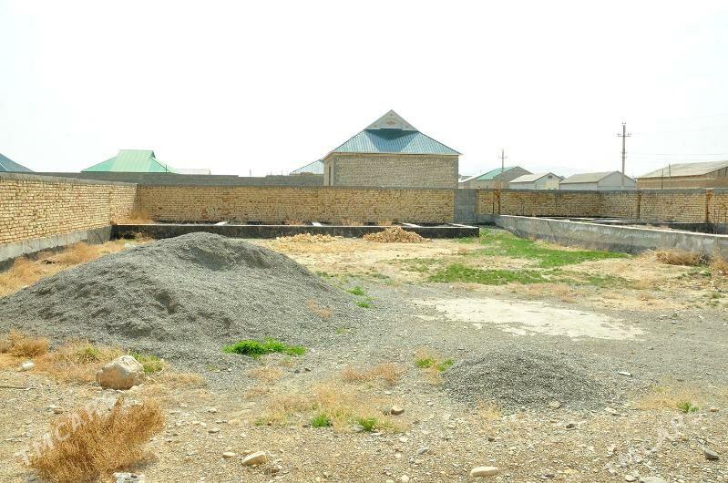 Jay - Gyzylarbat - img 3