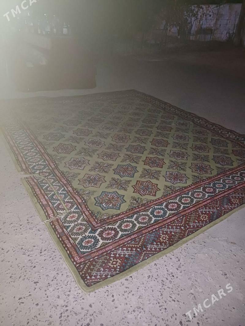 haly - 1 mkr - img 2