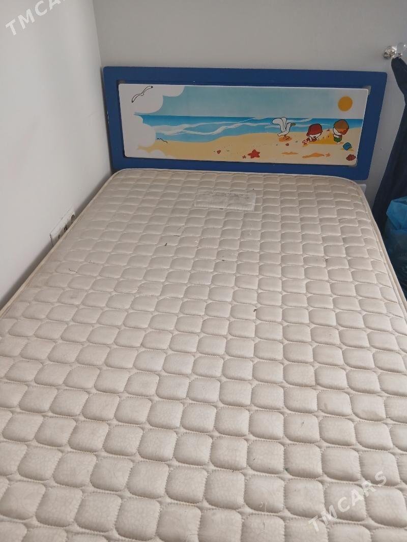 Çaga krawat - Ашхабад - img 2