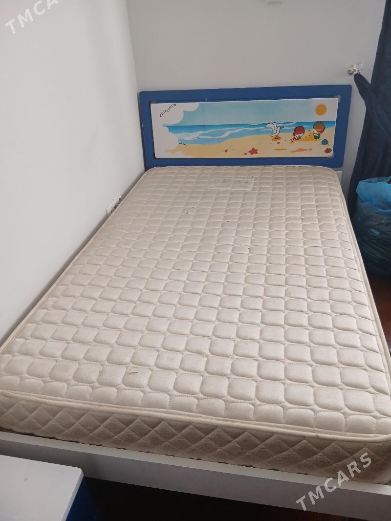 Çaga krawat - Ашхабад - img 3